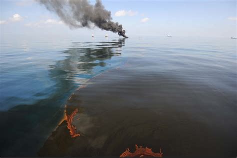 2010 Meksika Körfez Petrol Sızıntısı; Çağdaş Deniz Kaynaklarının Kullanımı ve Ekolojik Felaketlerin Zorlu Sonuçları